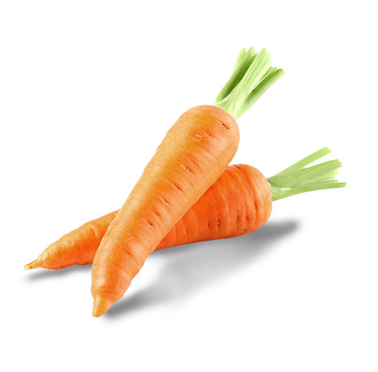 récoltes carottes