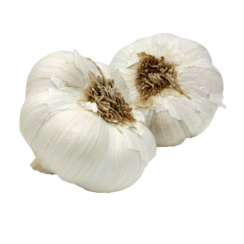 Garlic saison légumes