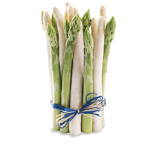harvest asparagus