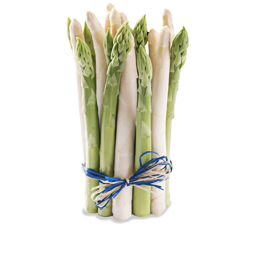 Cultures Asperges