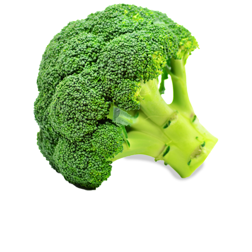 Brocoli surfaces 