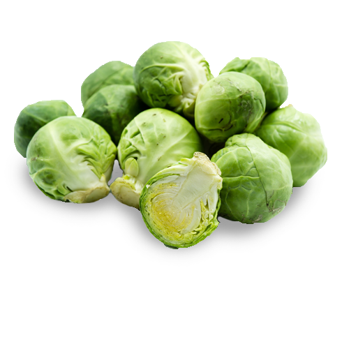 vegetable harvest - brussel sprout