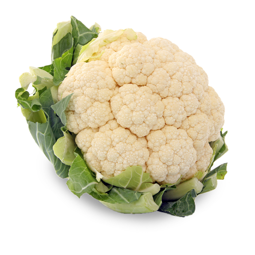 vegetable harvest - cauliflower