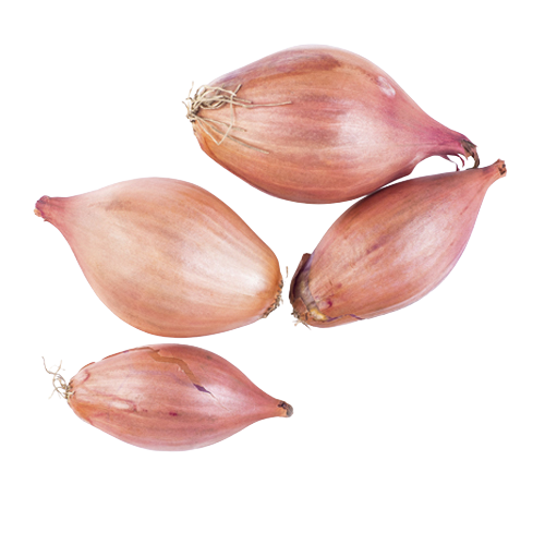 Campaigns shallots