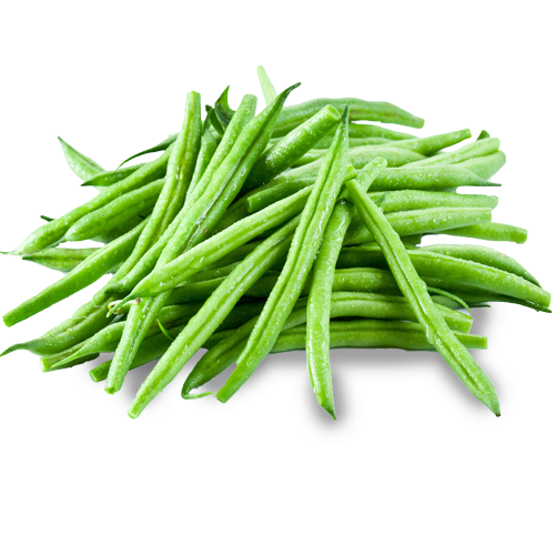 sécheresse récoltes Haricot vert