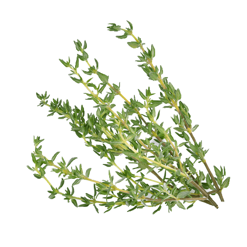 Frozen thyme