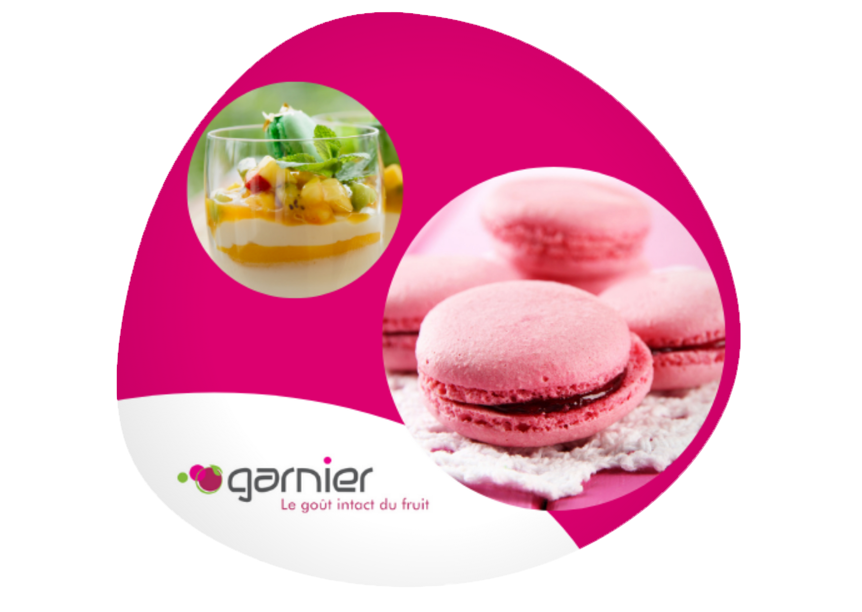 Garnier-1