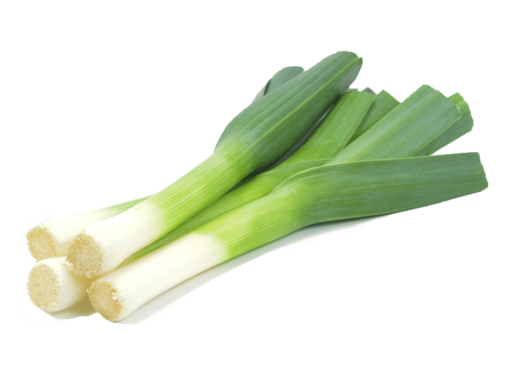 vegetable harvest - leek