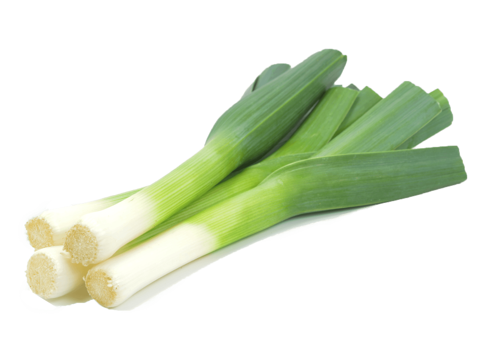 vegetable harvest - leek