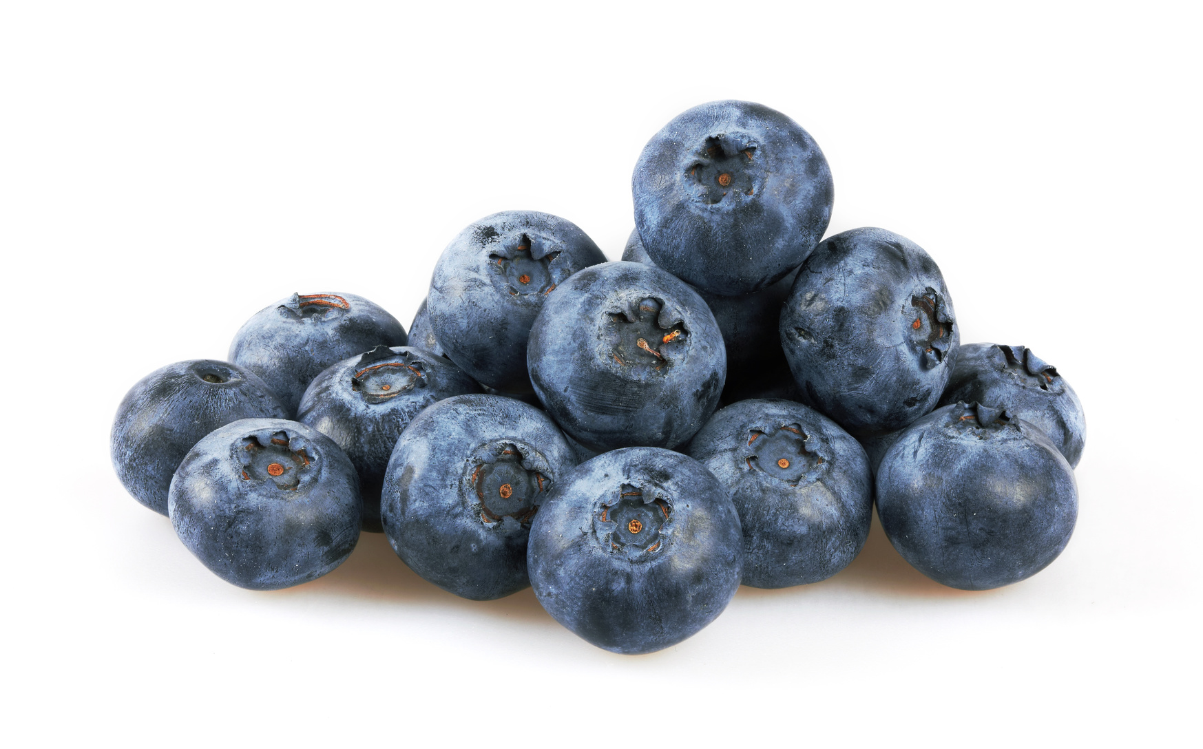 Blueberries harvest